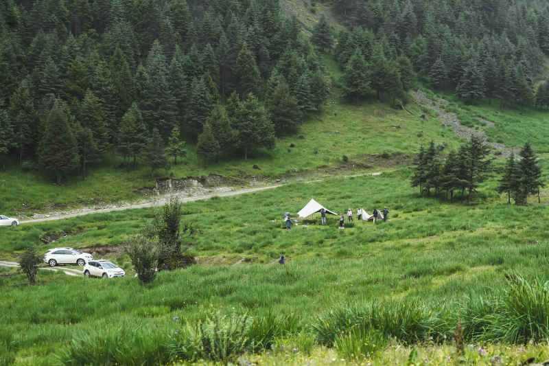 高山牧场露营