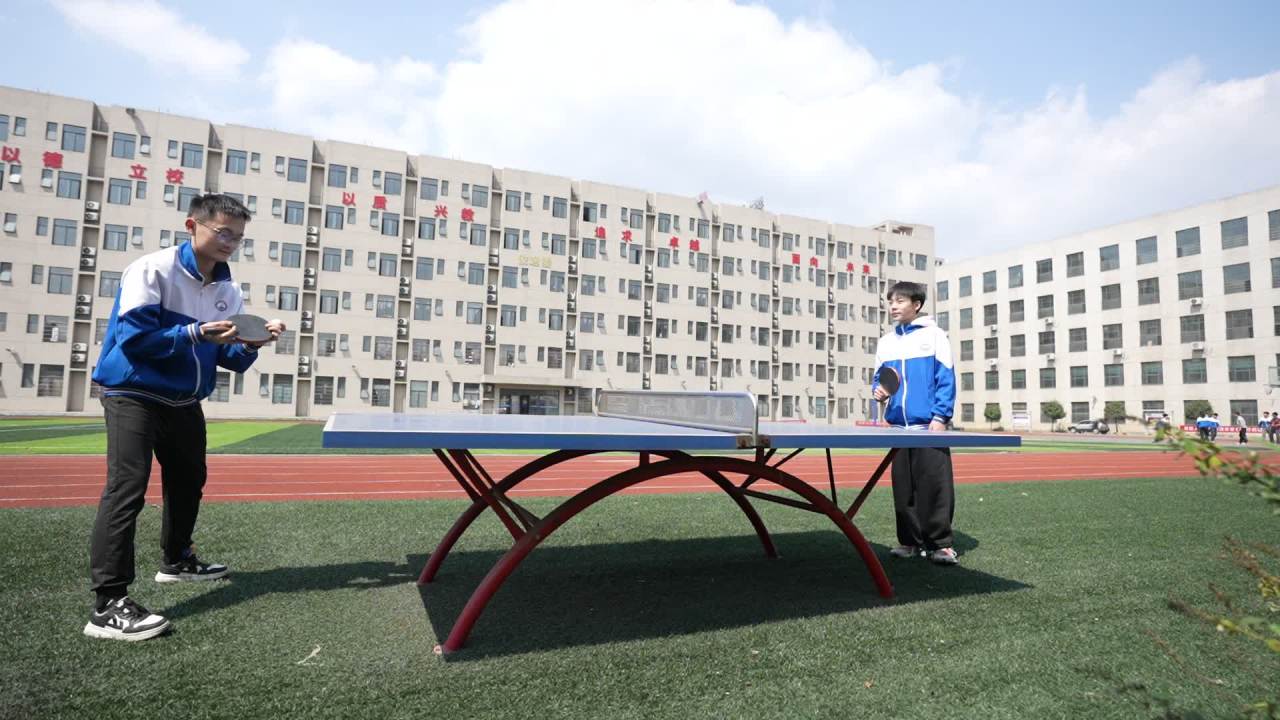 运动 28