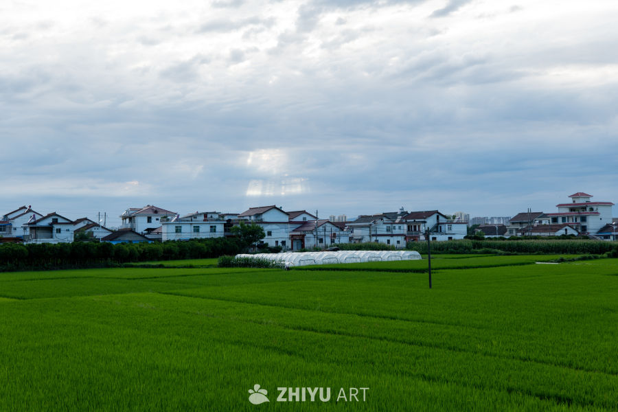 城市风景 47