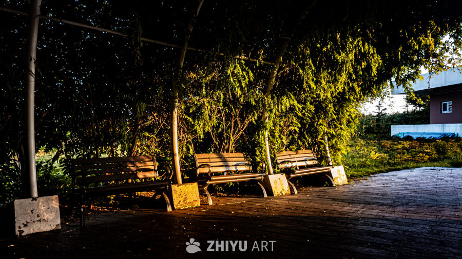 傍晚公园的静谧长椅