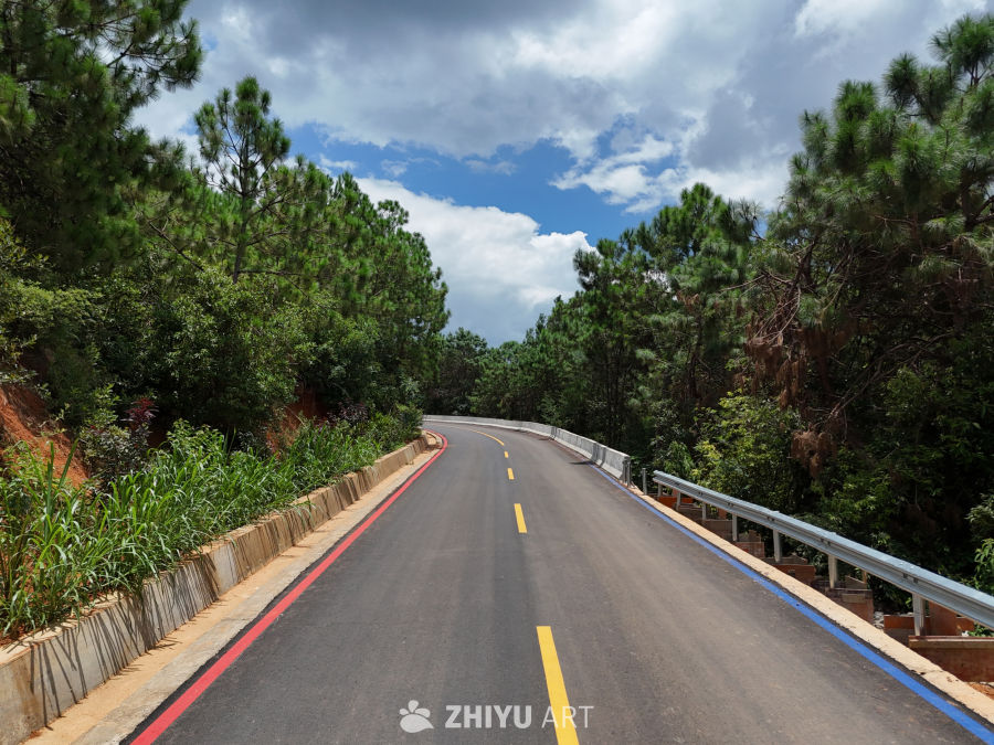 森林中的蜿蜒公路
