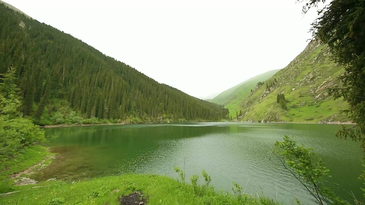 草原森林山脉自然风光