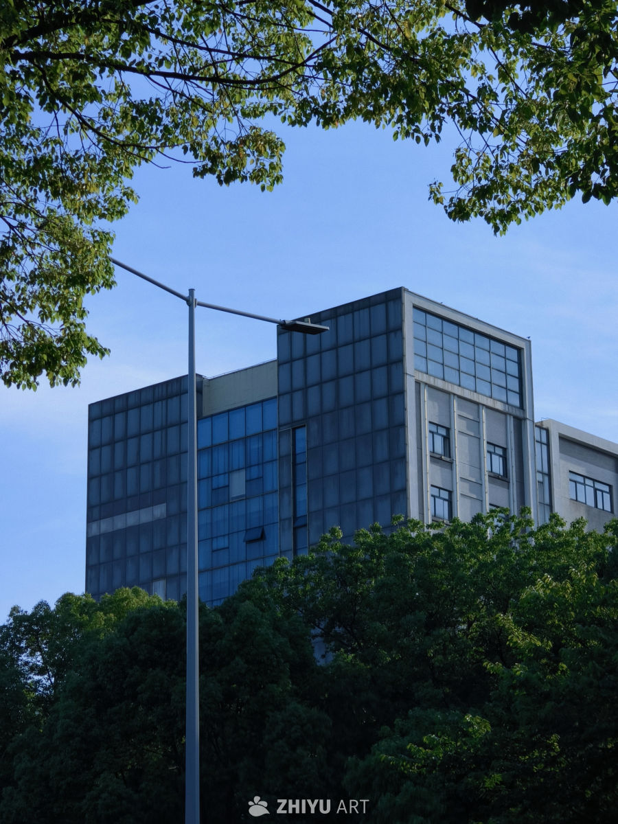 绿树路灯与城市建筑