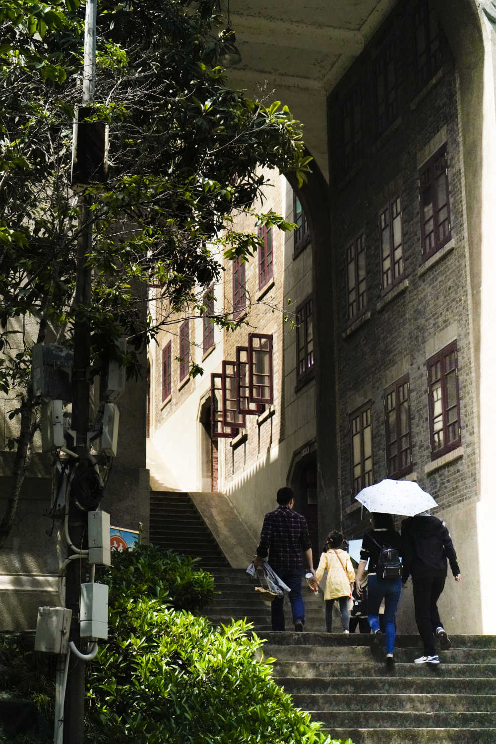 珞珈山间