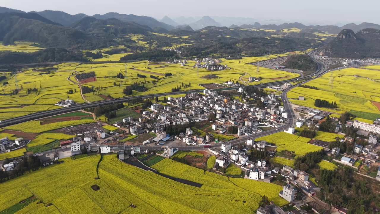 春日乡村油菜花田