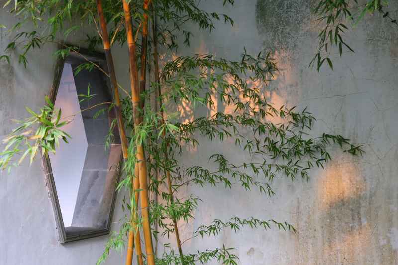 黄昏竹影