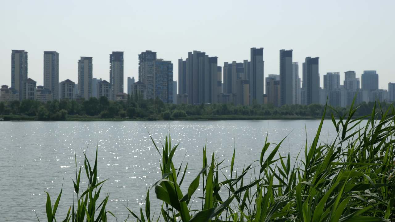 湿地公园一角 3