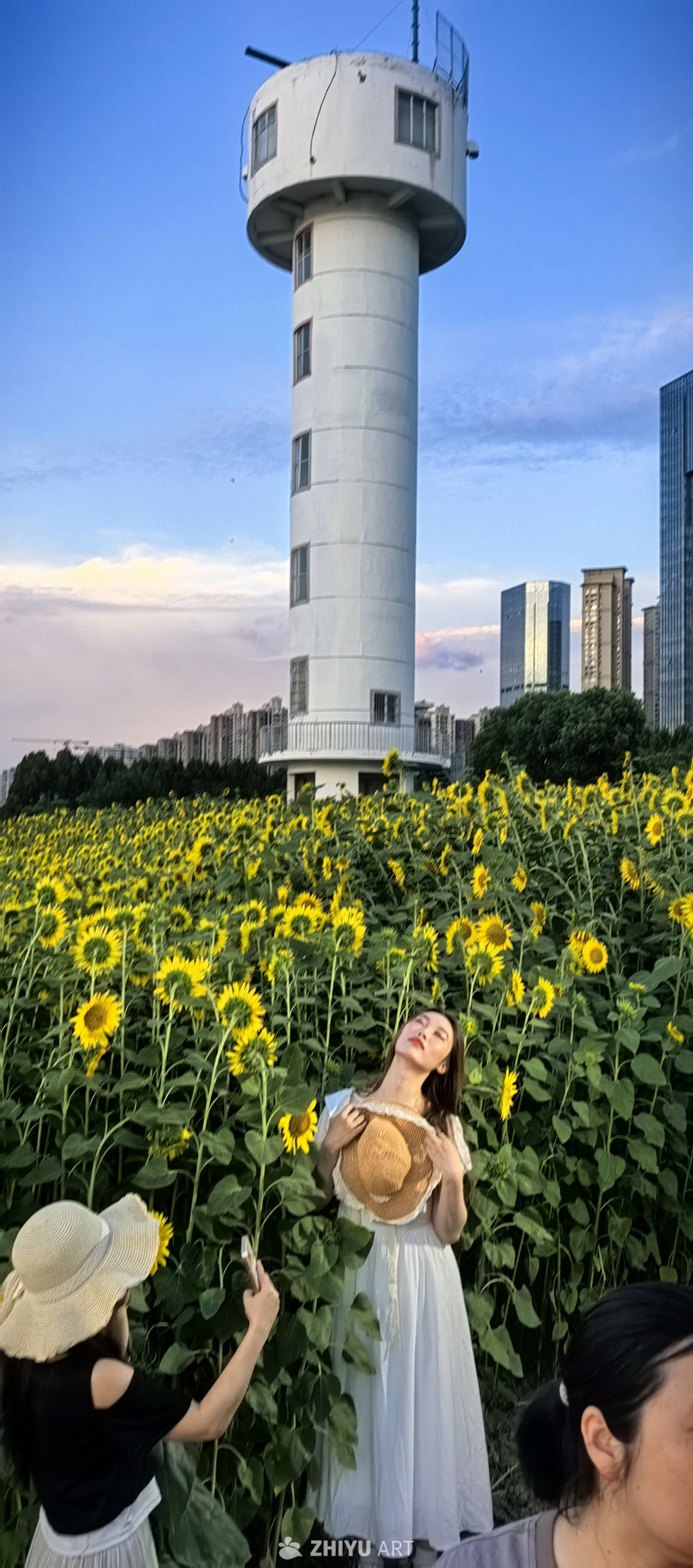 当天边逝去今年的最后一缕晚霞，来年愿你的心中仍有不灭的灯塔