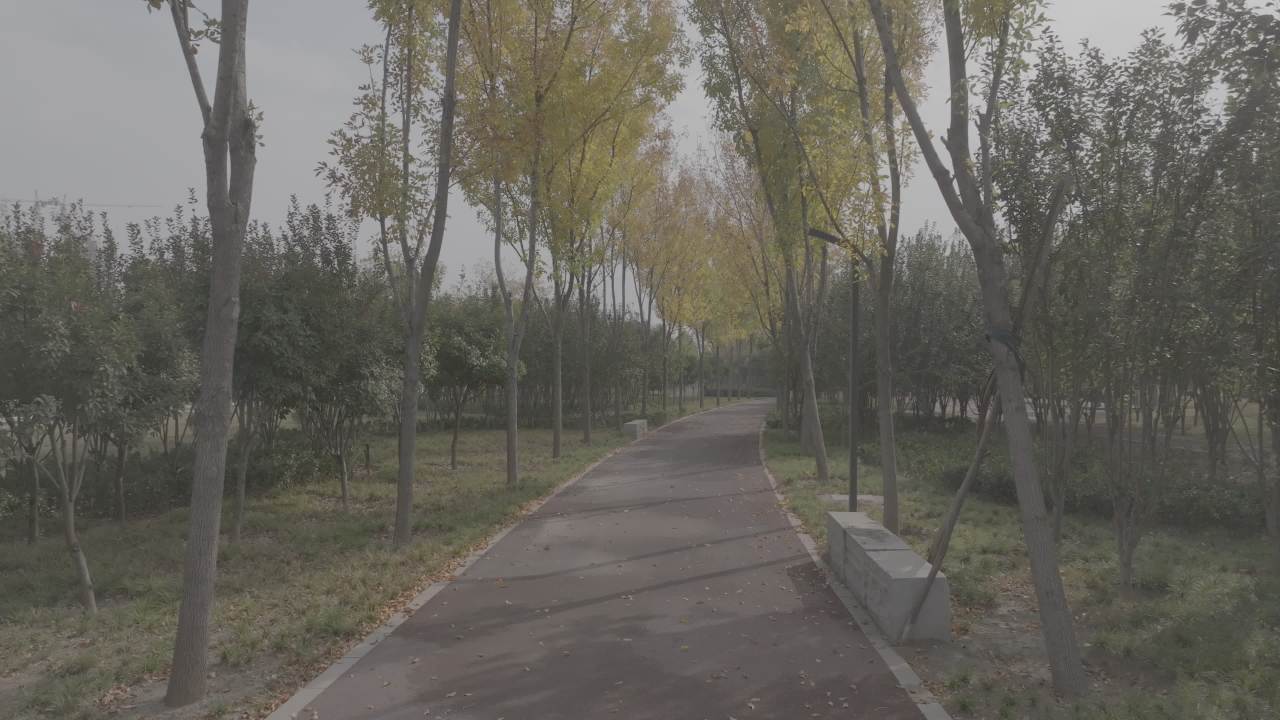 公园漫步