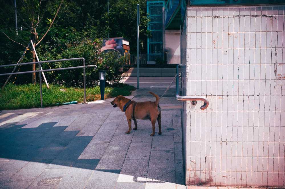香港街边