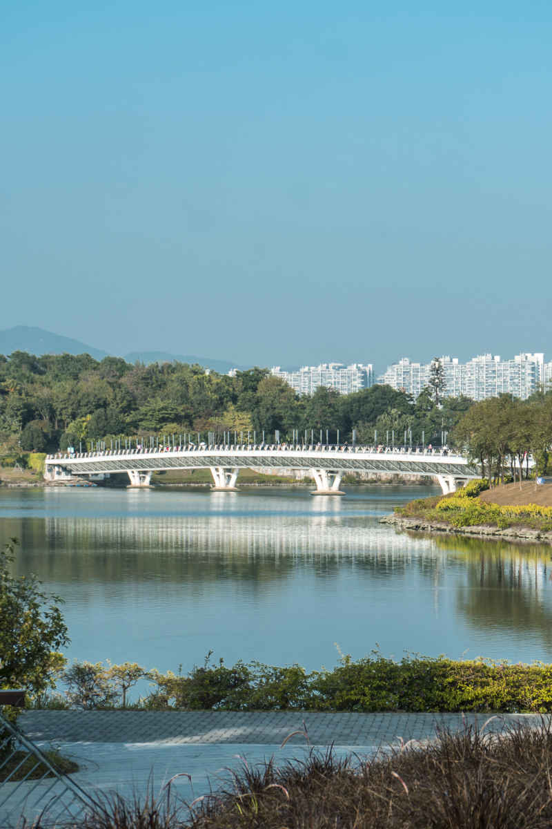 深圳湾公园