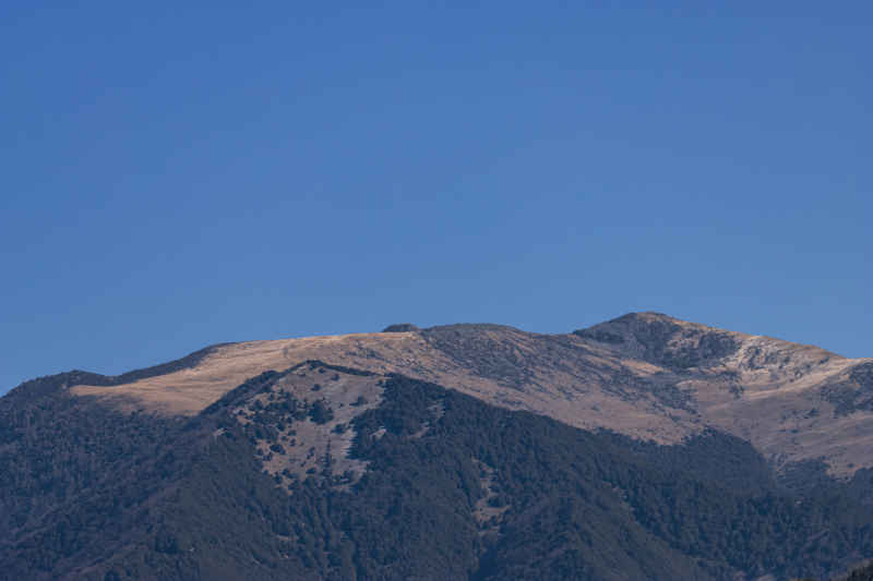 雪山飞狐 4
