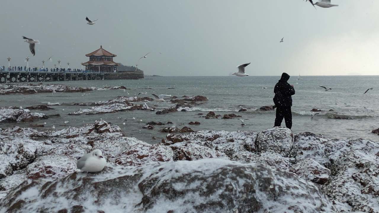 青岛市南老城区栈桥海边雪景航拍 19