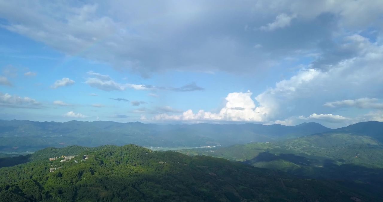 24景迈山茶山茶林山林树木奇观唯美画面