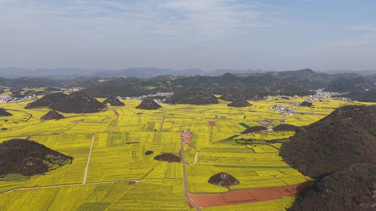 油菜花海与山川