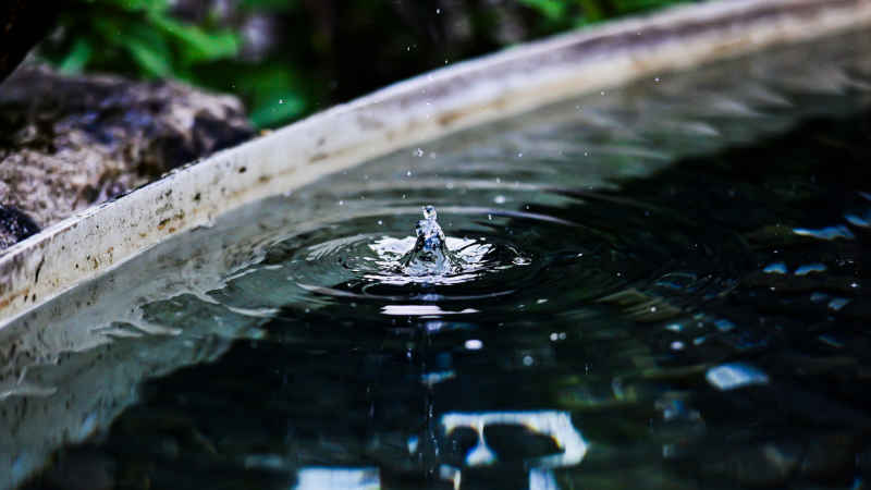 水