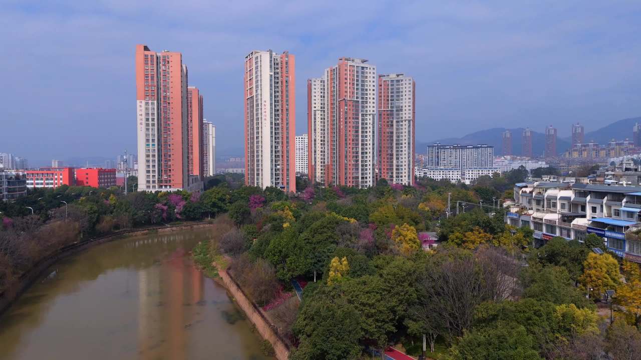 城市绿洲