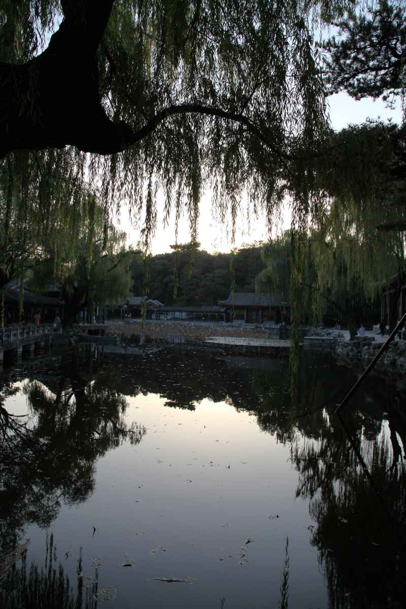 风景 50