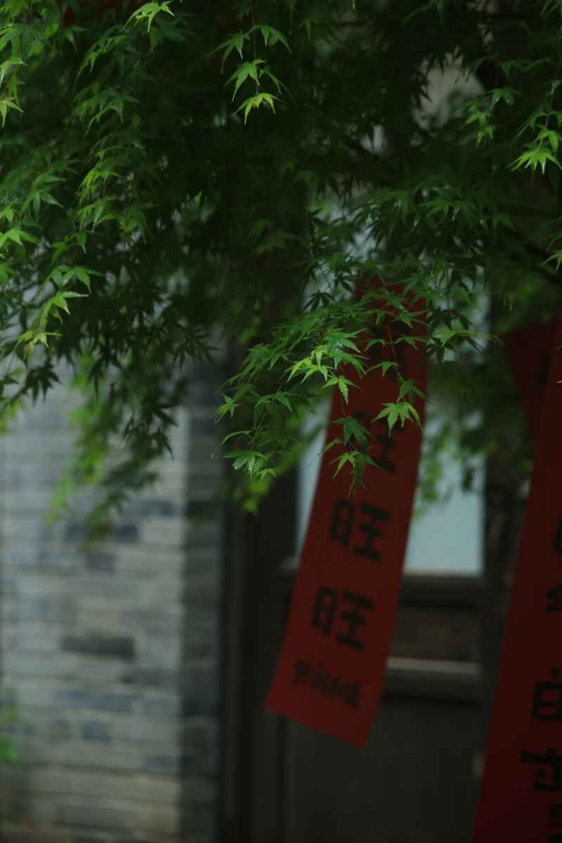 重庆所拍 12