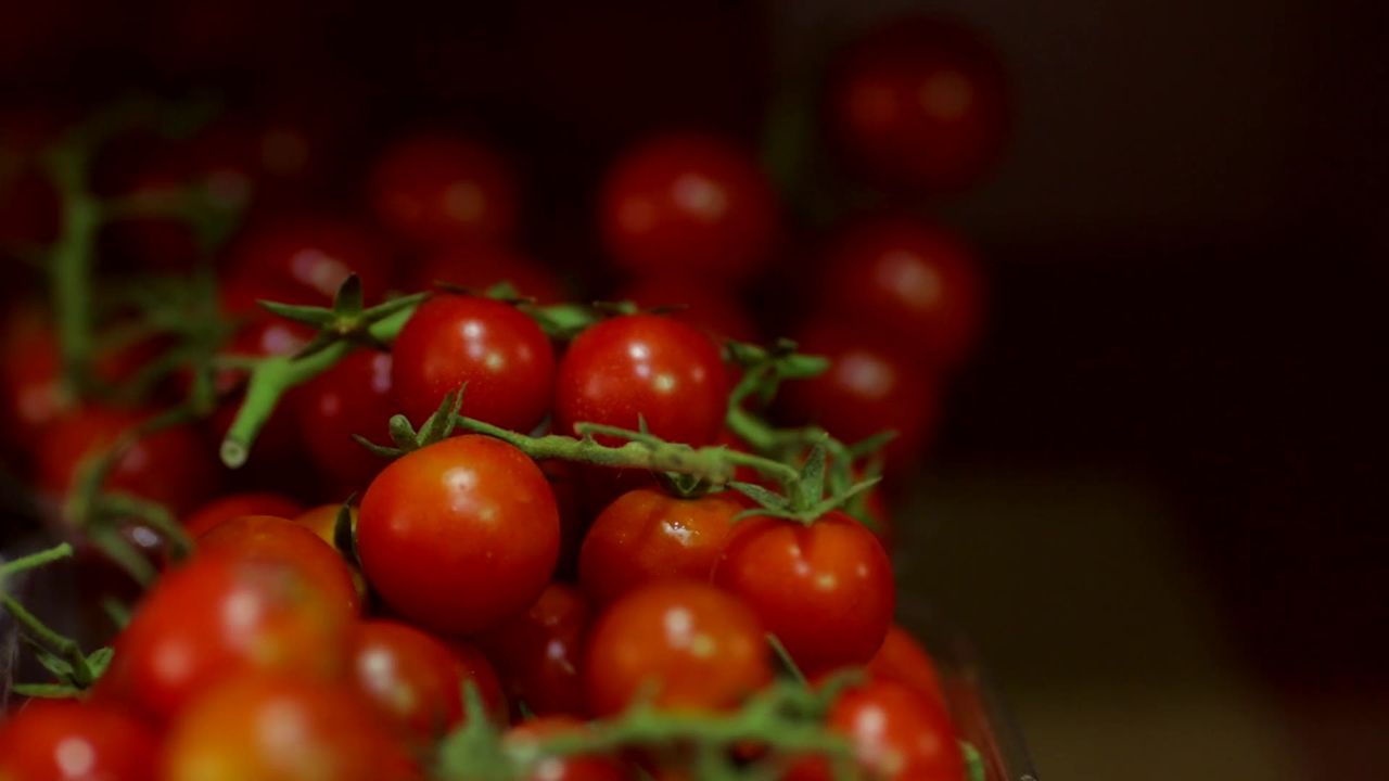 蕃茄红色蔬菜水果