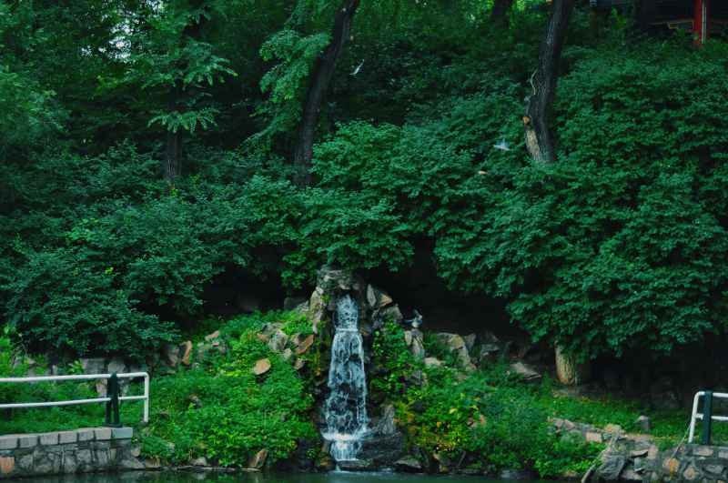 绿色通道
