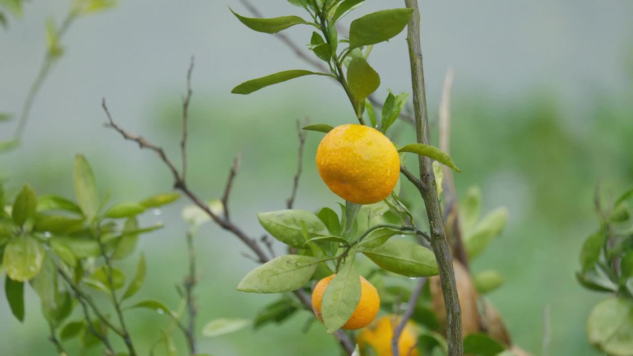阴天下雨水滴雨滴天气 33