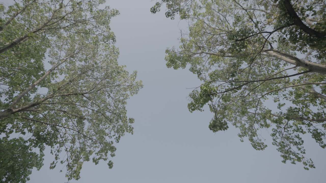 青山 1