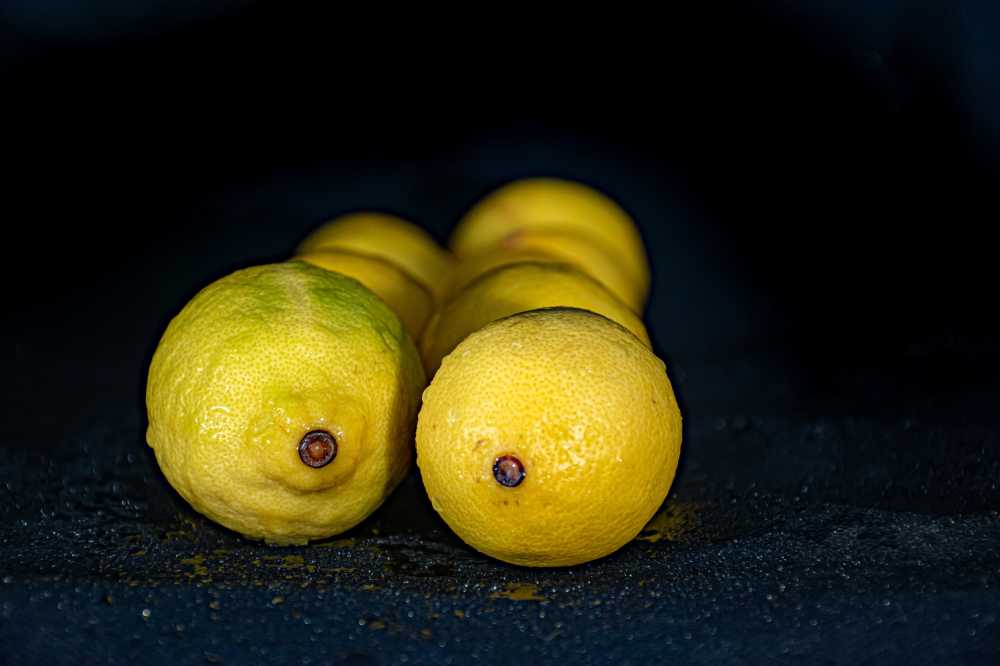 柠檬食品有机健康