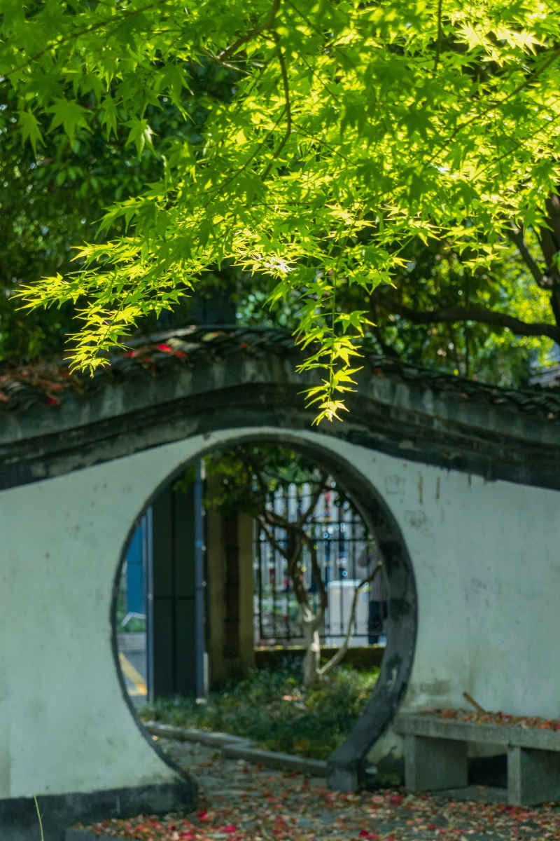 枫园