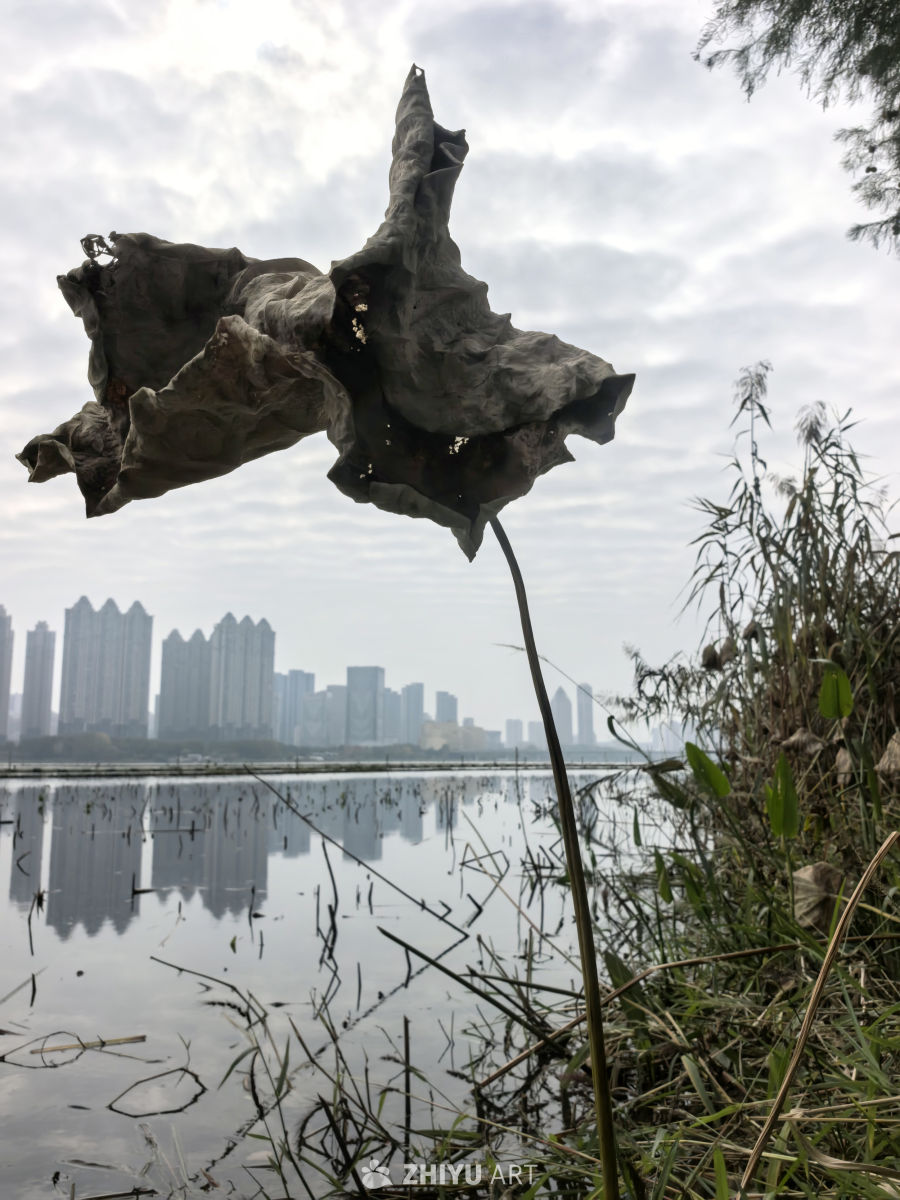 相逢意气为君饮，系马高楼垂柳边