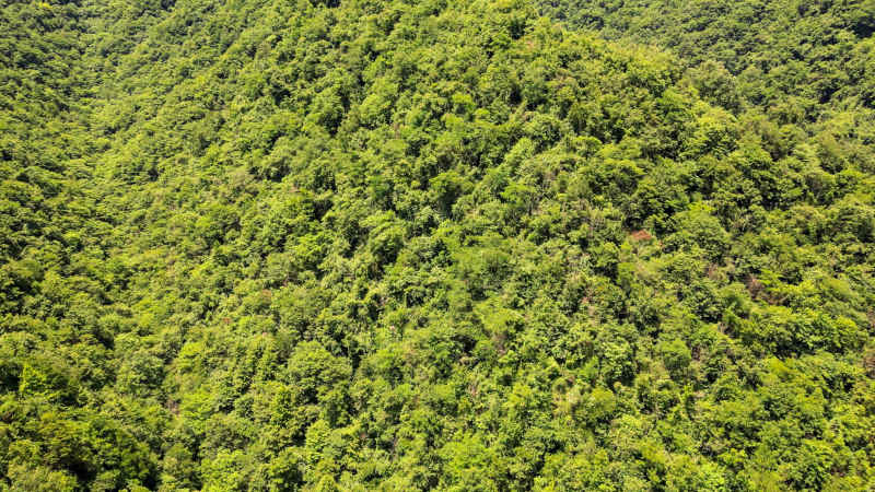 风景大自然丛山峻岭山川航拍  