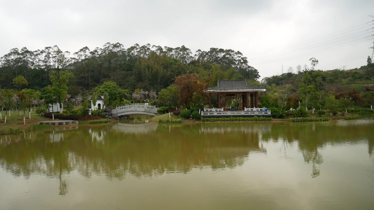 公园湖景