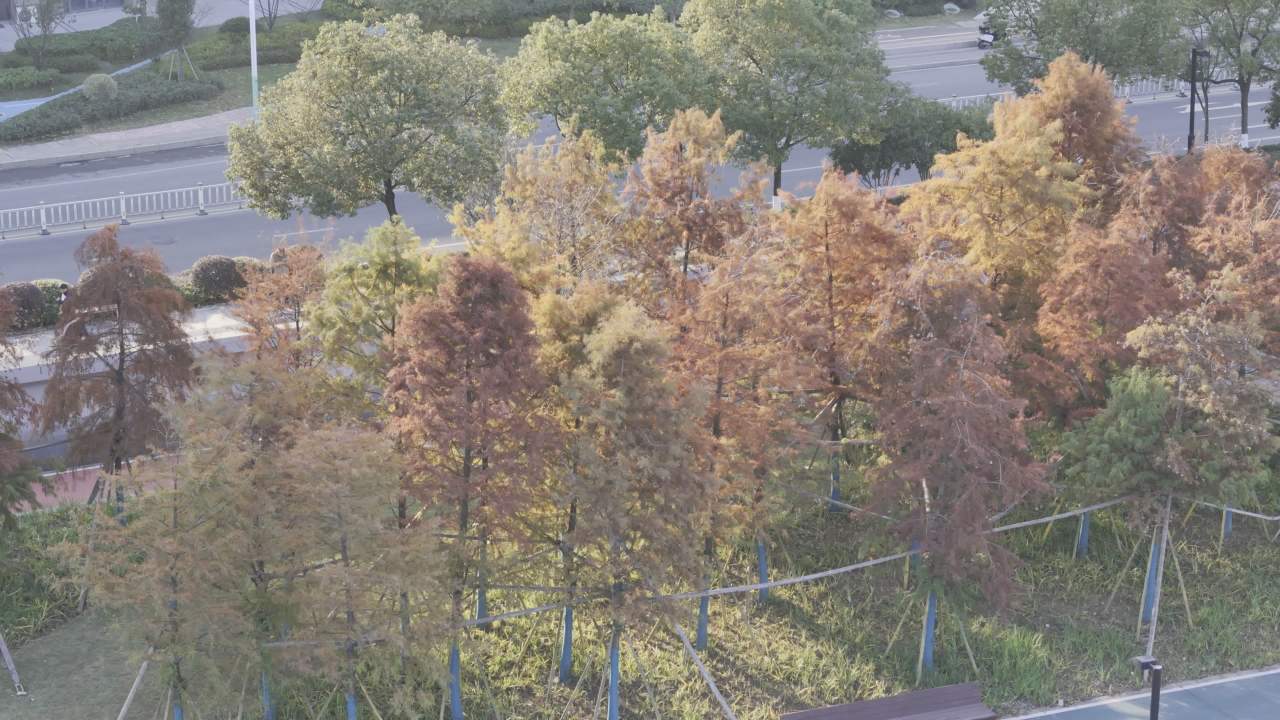 江边公园 17