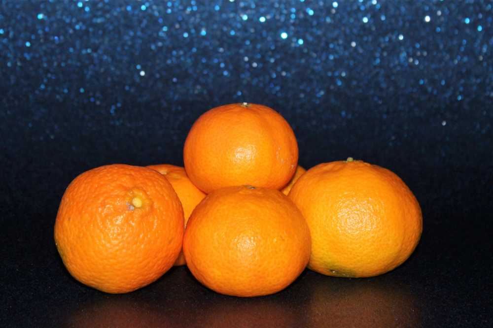 普通话水果橙吃