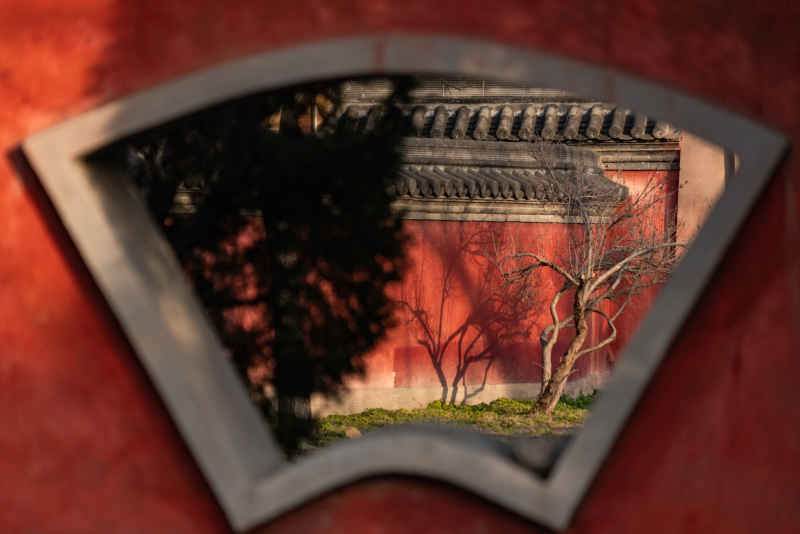寺庙 14