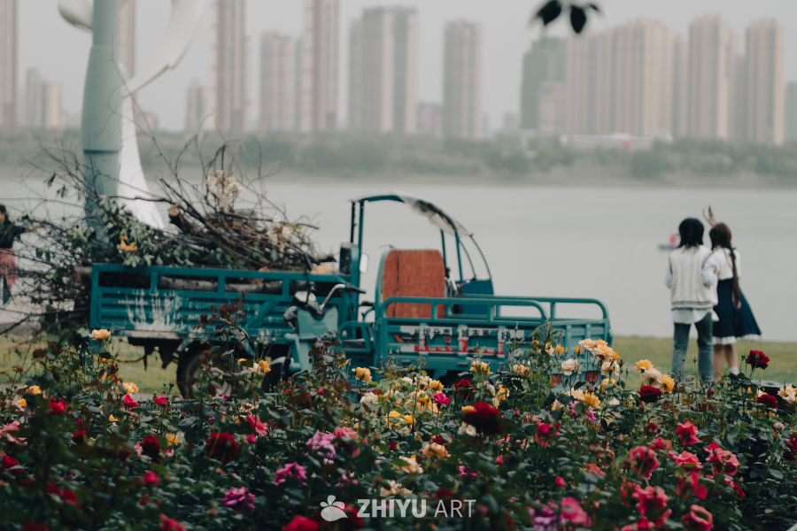 湖畔花丛中的春日闲情