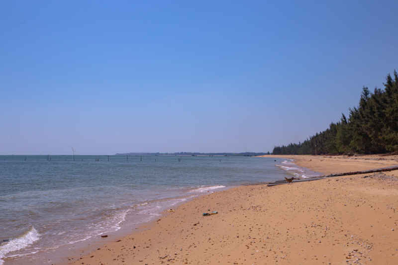 海岸线