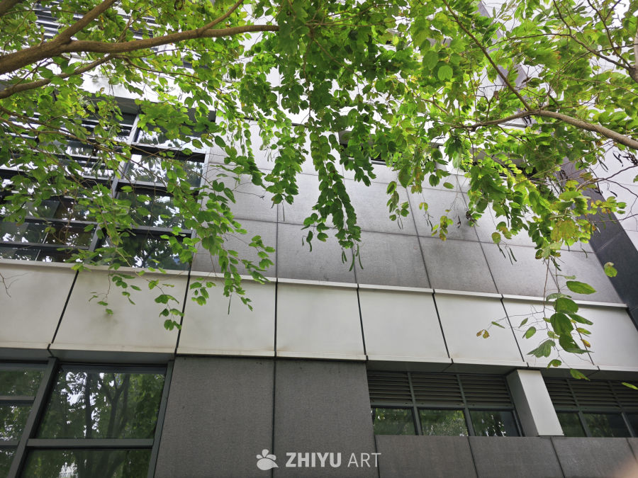 大楼绿树
