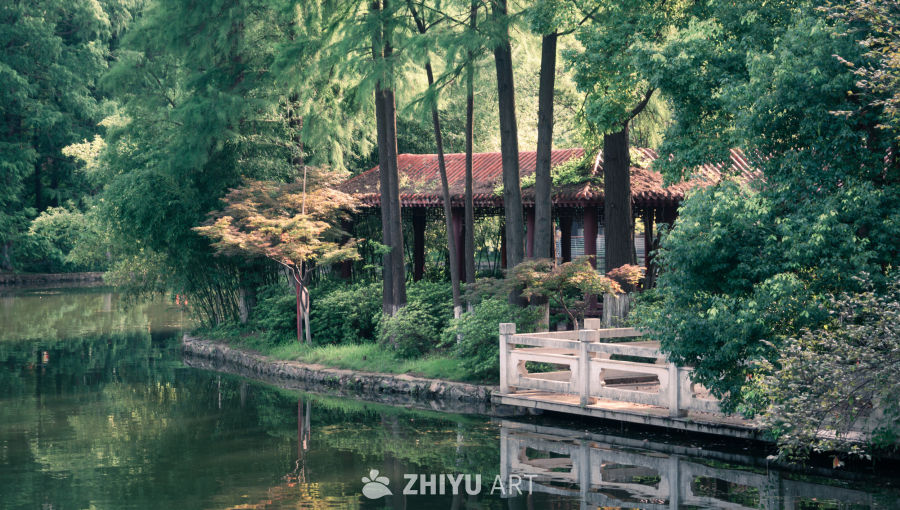 湖畔幽居