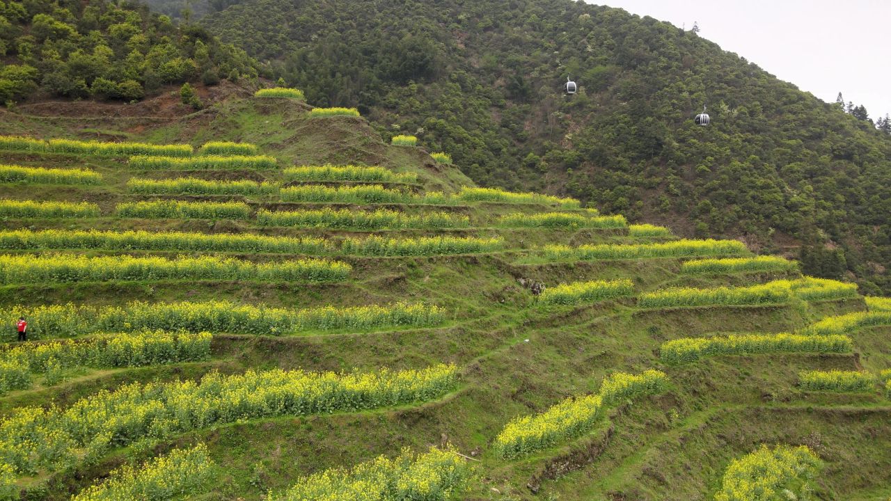 江西婺源篁岭风景区 14