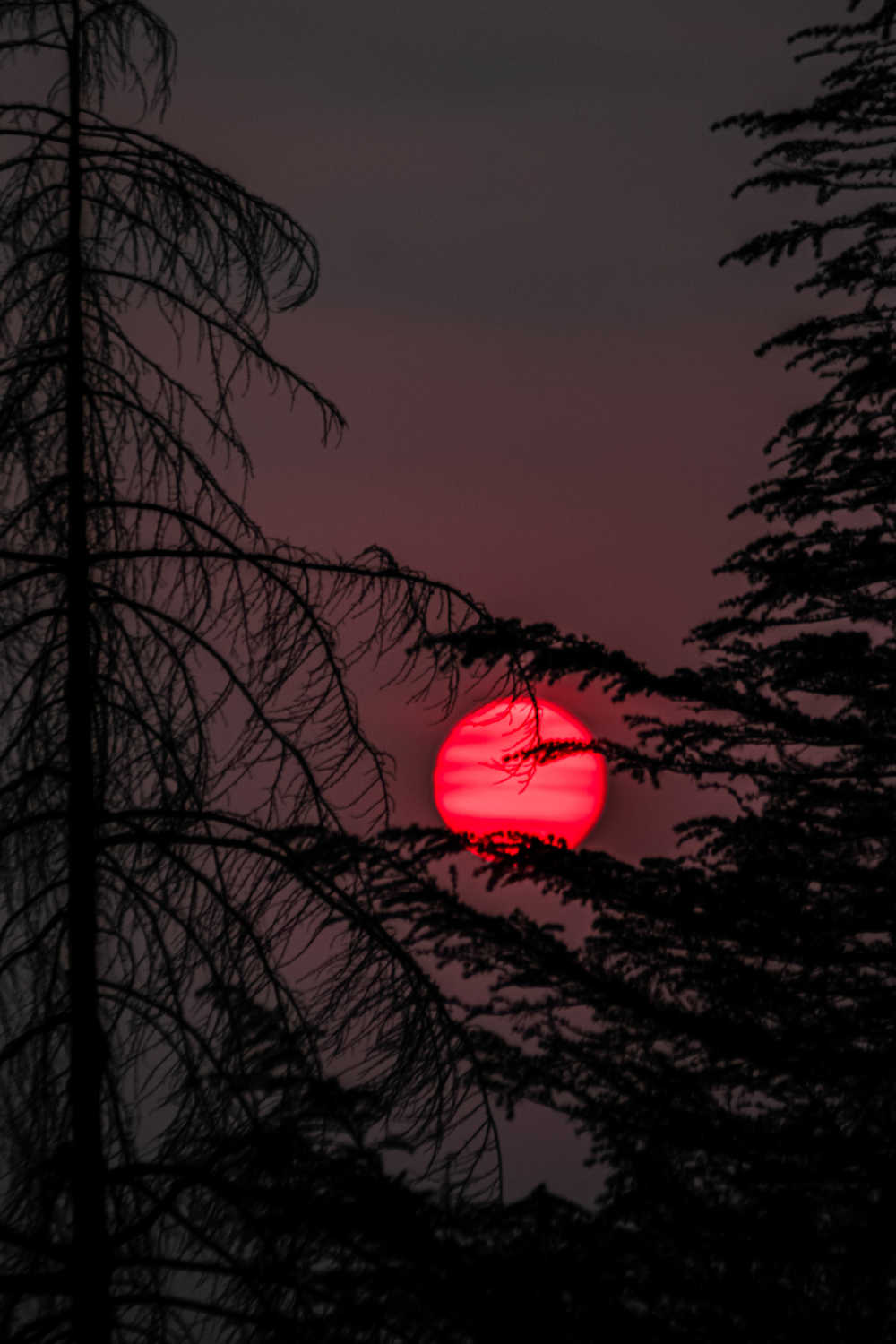 夕阳
