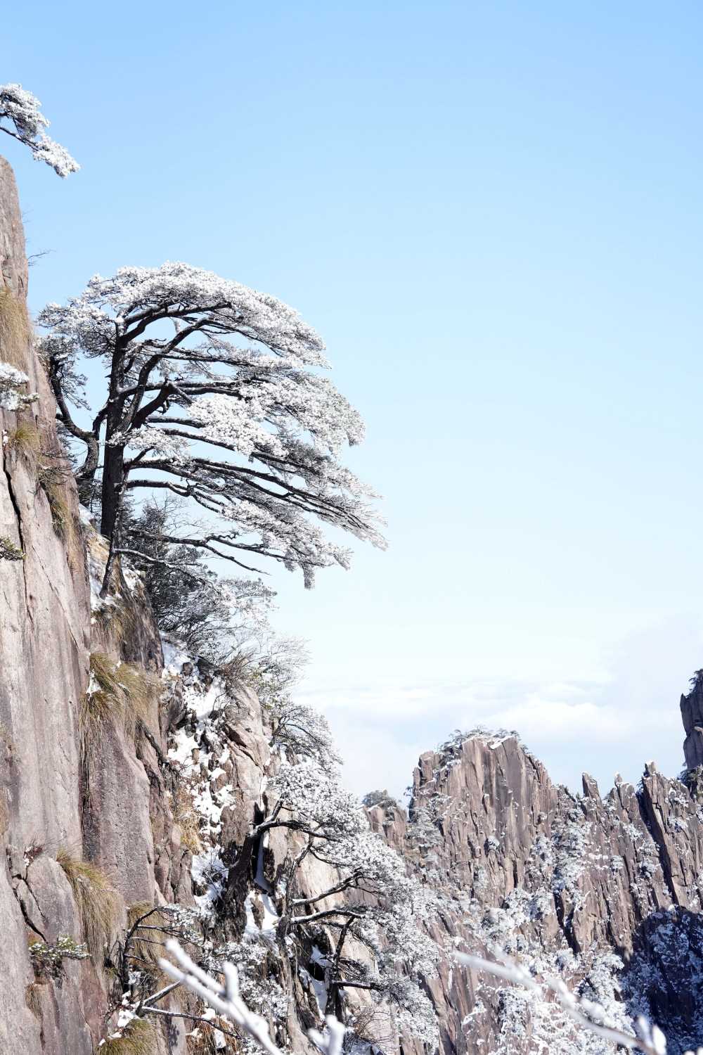 雪落黄山，雾凇云海——山篇