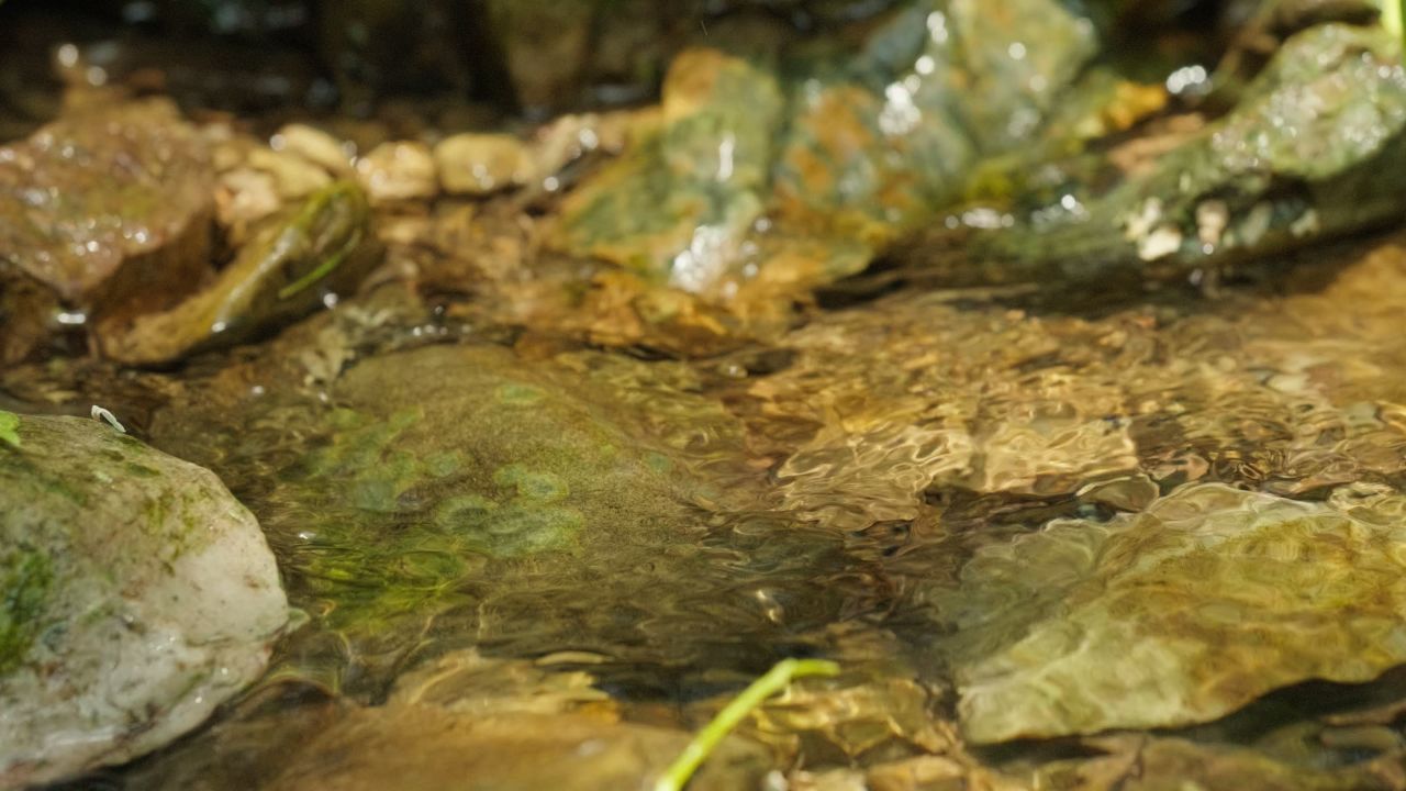 清澈山泉水温泉矿泉水小溪山涧 9