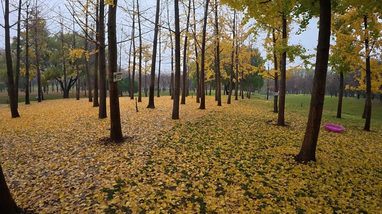 DJI OSMO NANO 4K实拍视频原片样片 16