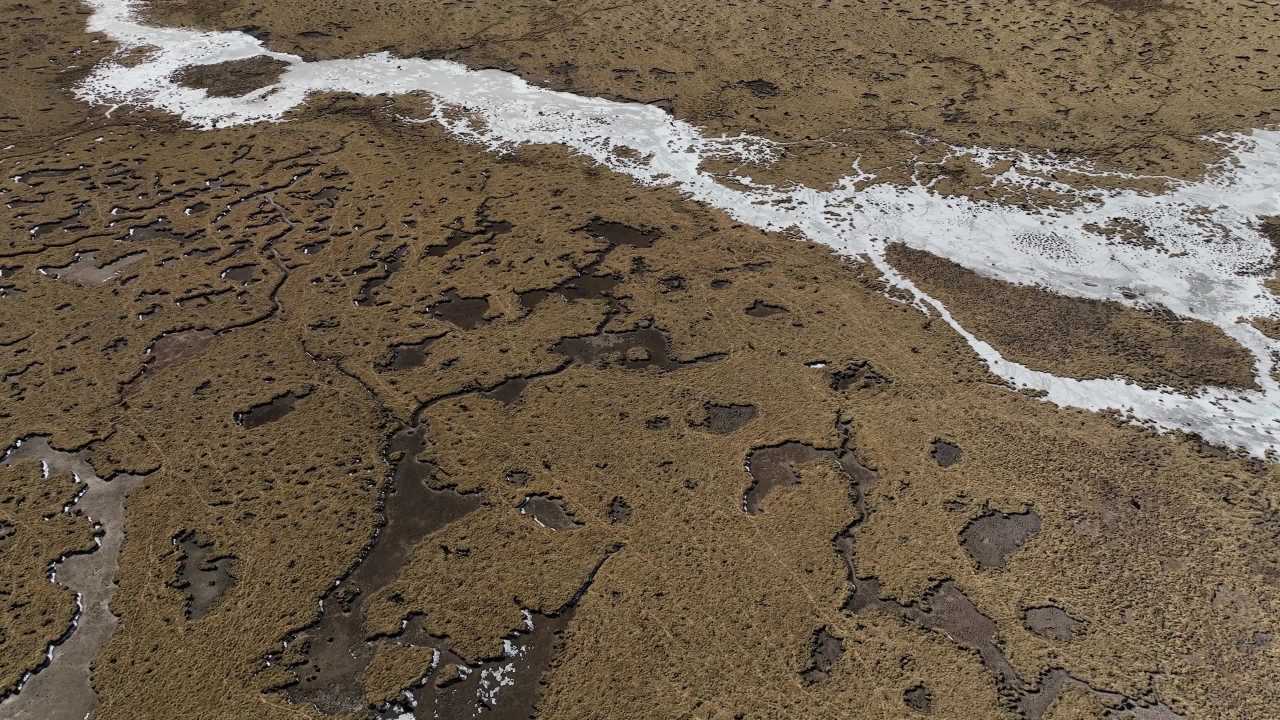 高原牧场