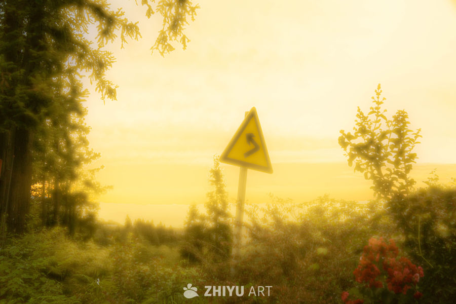 黄昏林间路标
