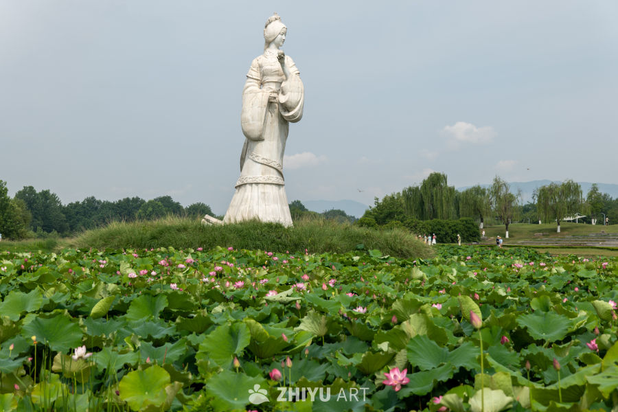 荷花 148