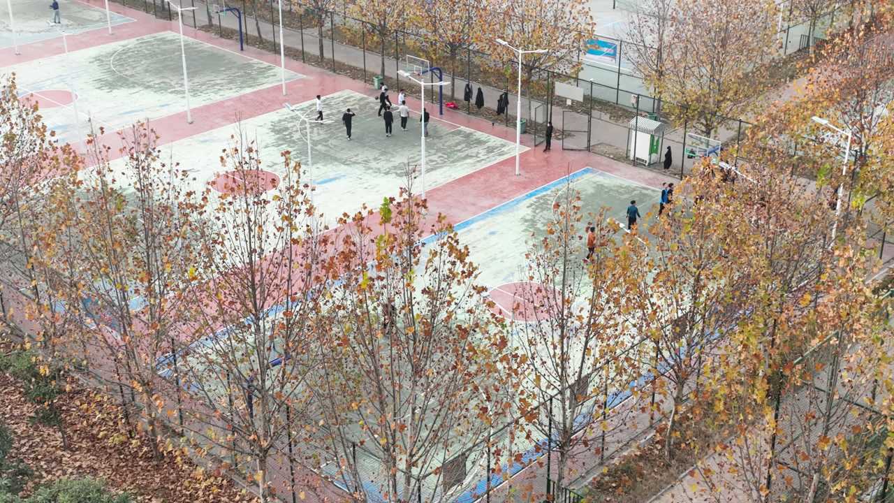 校园秋日篮球时光
