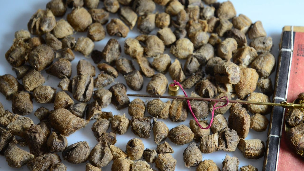 中药材桑螵蛸 35