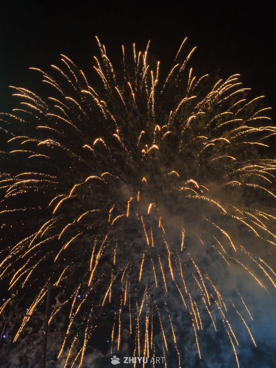 烟花炸开的瞬间